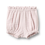 Wheat bloomers Angie purple light flowers 