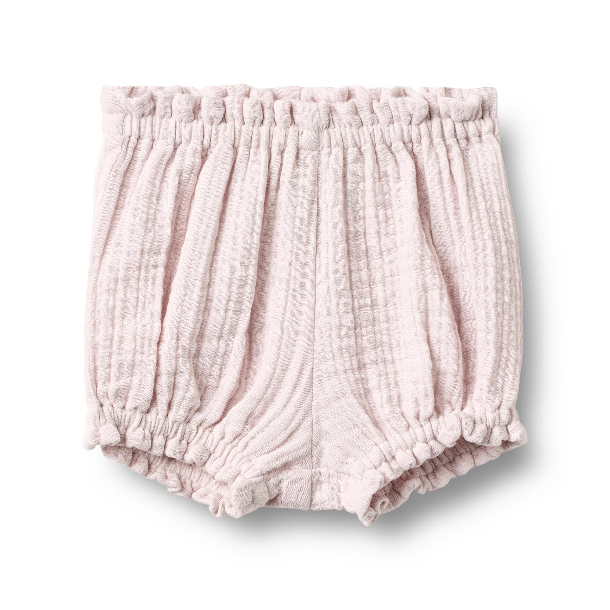 Wheat bloomers Angie purple light flowers 
