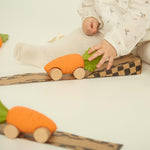 Oli & Carol Cathy the Carrot 2-in-1 Auto & Bijtspeeltje - Nichi Baby Store