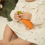 Oli & Carol Cathy the Carrot 2-in-1 Auto & Bijtspeeltje - Nichi Baby Store