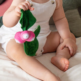 speeltje baby's groente